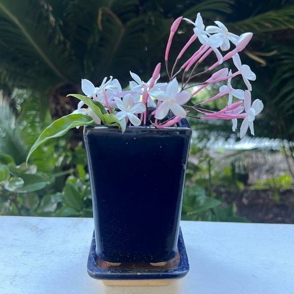 Vintage Glazed Ceramic Pot with Saucer - Picture 6 of 16